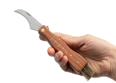 Nóż Składany Na Grzyby BSH ADVENTURE N-016